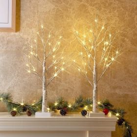Christmas Decorations Indoor, 2 FT Birch Tree with LED Lights, Fairy Light Spirit Tree for Christmas Decor (Color: White)