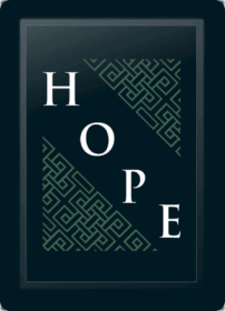 Hope Deco Diagonal Sage Logo Panel (Logo Panel Size: 24" Panel for Xpression Gaming Chair Only)